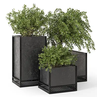 Outdoor Plant Box in rusty Concrete Pot on Metal Shelf  - Set 135