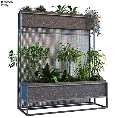 plant in box set 082
