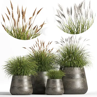 Indoor_Plant_Set_03