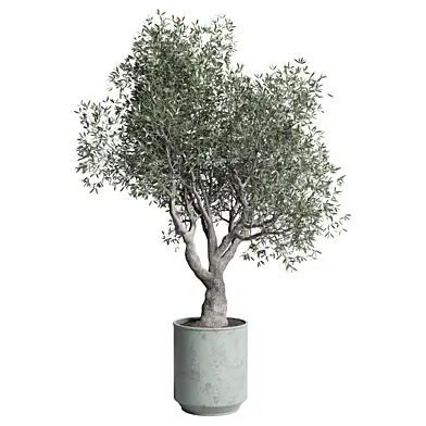 Outdoor plant 35 vase handmade metal old pot tree dirt