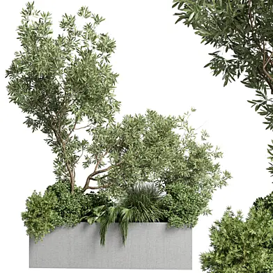 Collection outdoor plant 36 pot plant bush grass and tree and palm concrete vase bax