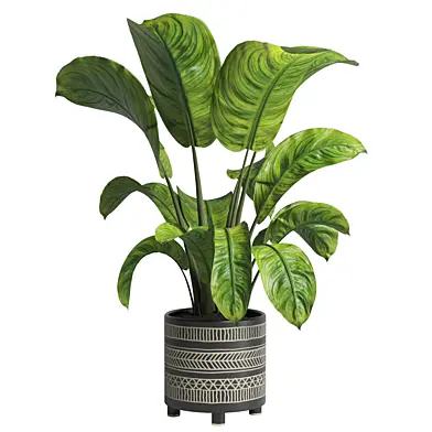 Indoor plant 64 vase handmade pottery plant pot