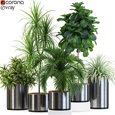Plants collection 541