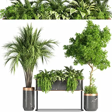 Indoor_Plant_Set_33