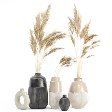 Dry plants 18 - Dried Plantset Pampas in handmade vase