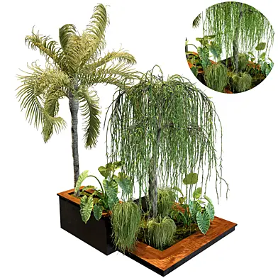 Plants Collection No1