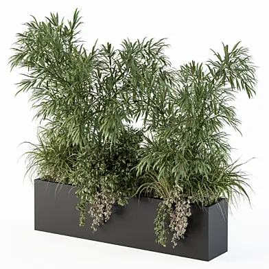 Outdoor Plant Set 252 - Plant Box with Bamboo Tree