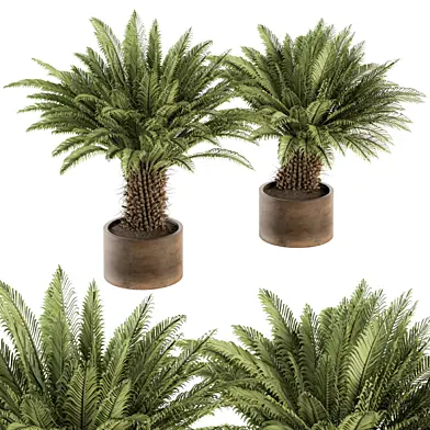 Outdoor Plant Set 256 - Big Tropical Plant in Pot