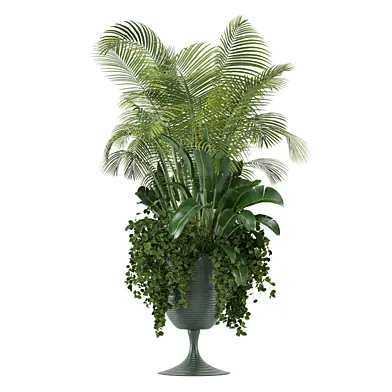outdoor Plants Collection - Set 0039