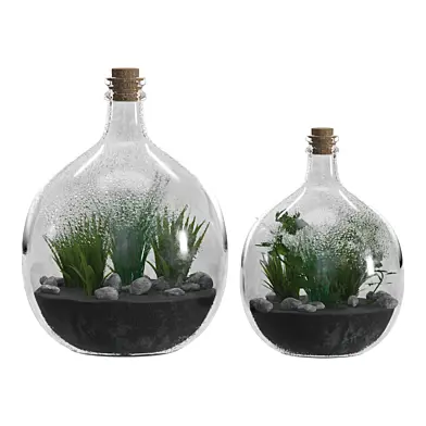 Florarium in a Bottle