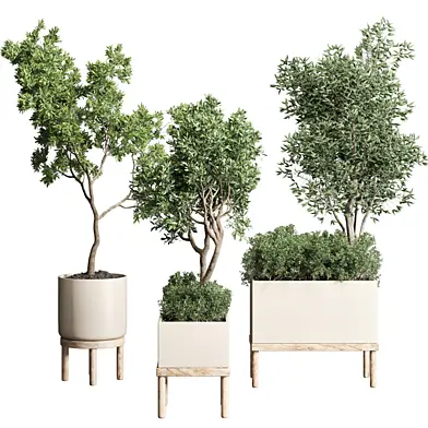 collection Indoor outdoor plant 104 wood vase pot tree bush
