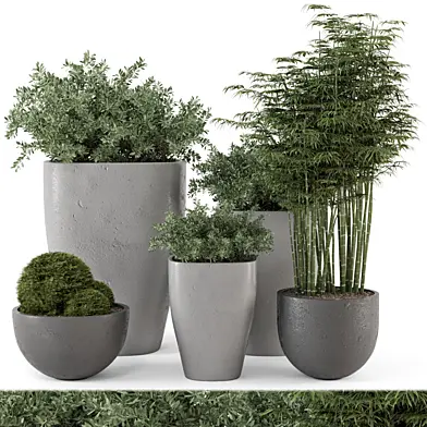 Outdoor Plants Bush  in rusty Concrete Pot - Set 232