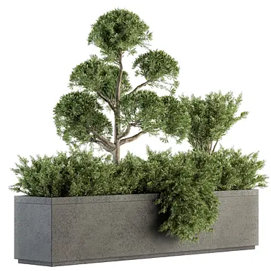Outdoor Plant Set 213 - Plant Box