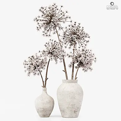 Dry Plant 02
