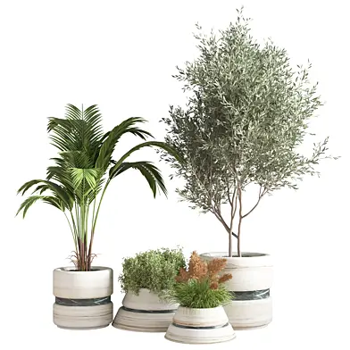 Indoor Plant Set 11