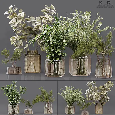 Collaction Indoor Plants 05