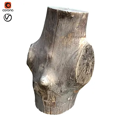 tree trunk 22