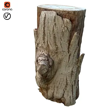 tree trunk 23