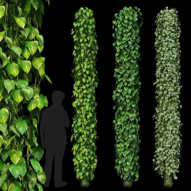 vertical garden set 4