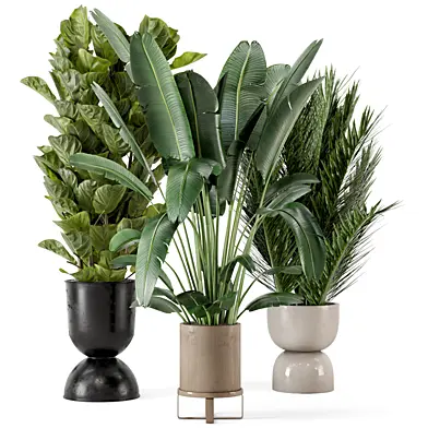 Indoor Plants in Ferm Living Bau Pot Large - Set 273