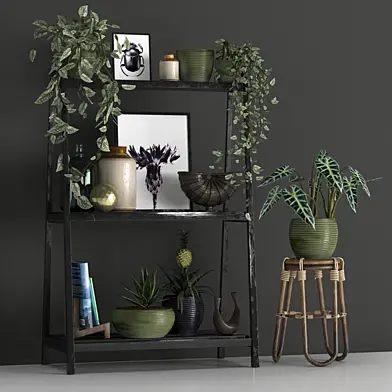 Devorative Plant Set