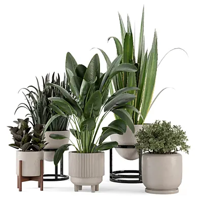 Indoor Plants  in rusty Concrete Pot - Set 274