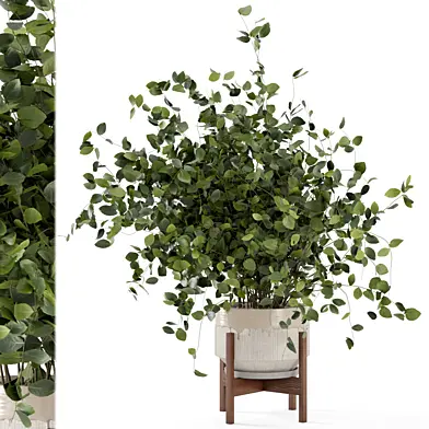 Indoor Plants in rusty Concrete Pot - Set 280