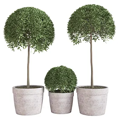 indoor_plant_set_23