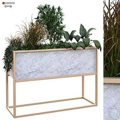 plant in box set 171