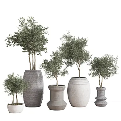 indoor_plant_set_29