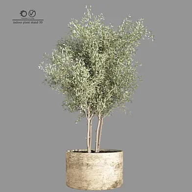 indoor plant stand 35