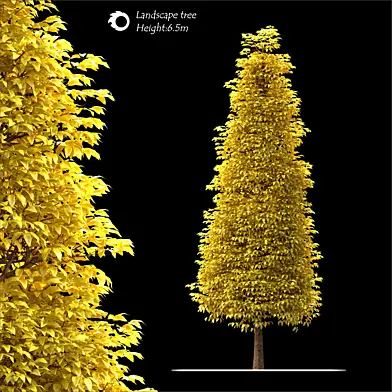 Land scape tree