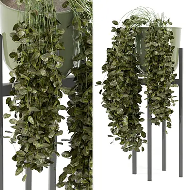 Indoor Plants in Ferm Living Bau Pot Large - Set 121