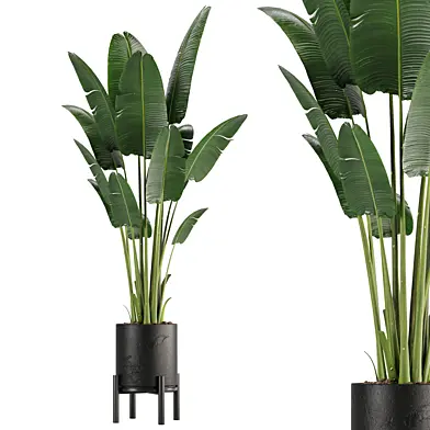 indoor plant set 01
