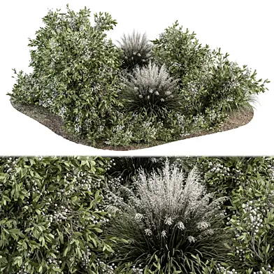 Green and White Bush - Outdoor Garden Set 325