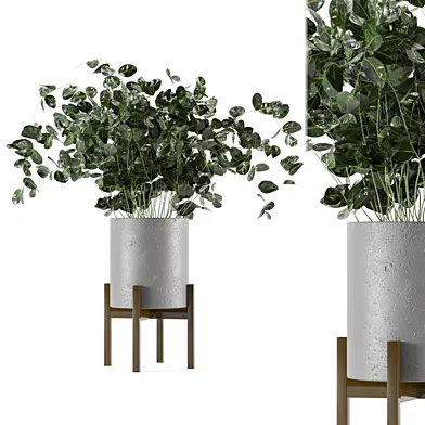 Indoor Plants Collection - Set 129