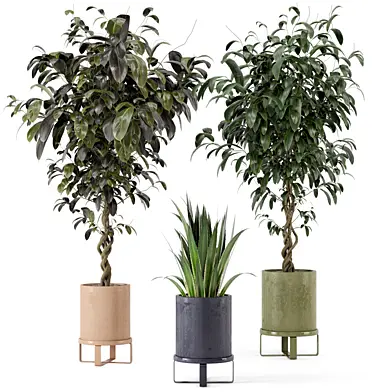 Indoor Plants in Ferm Living Bau Pot Large - Set 340