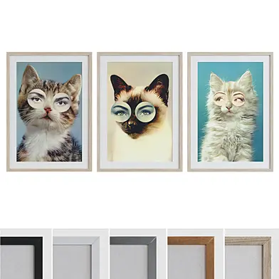 Picture Frame Set 225