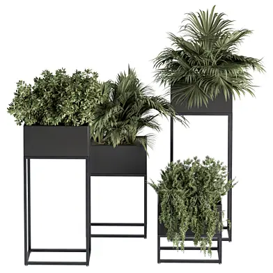indoor Plant Set 326 - Plant Set in Black Box