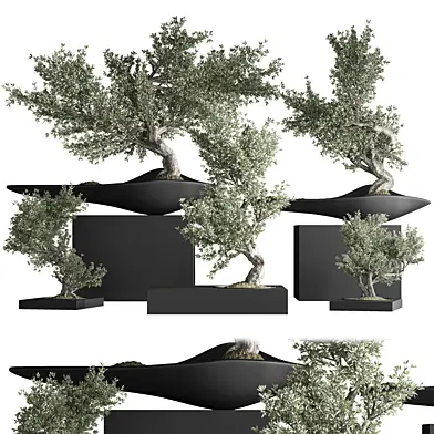 indoor plant bonsai set 29