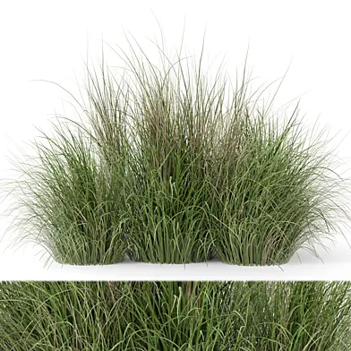 Outdoor Plants Bush -Bush Set 371
