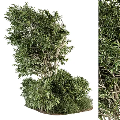 Garden Set Plants - Outdoor Plants Set 338