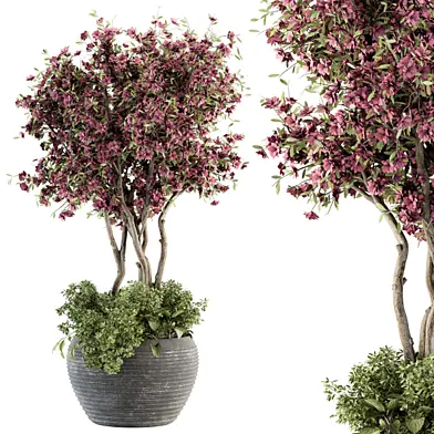 Outdoor Plant Set 352- Purple Flower Tree in Old Pot