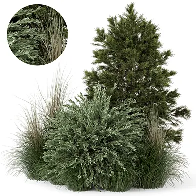 Outdoor Plants Bush -Bush Set 427