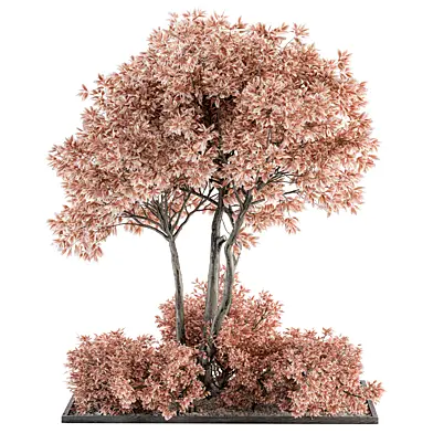 Pink tree and Bush - Outdoor Garden Set 358