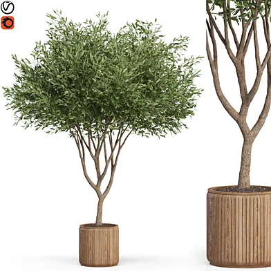 Plants collection 626