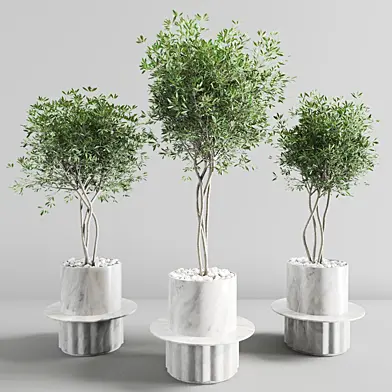 Plants Set 04