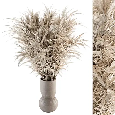 Dry plants 84 - Dried Pampas Set