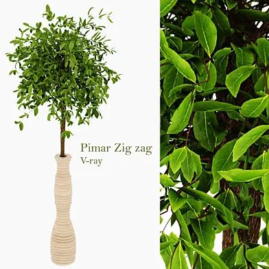 Pimar Zig Zag Plant Vase