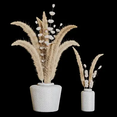 pampas03